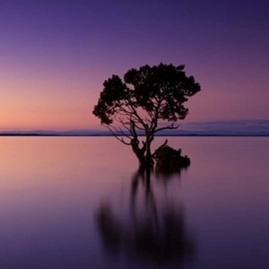 什么叫抽象艺术？